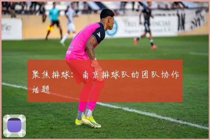 聚焦排球：南京排球队的团队协作话题