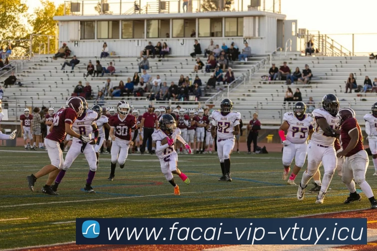 星空体育平台生态图