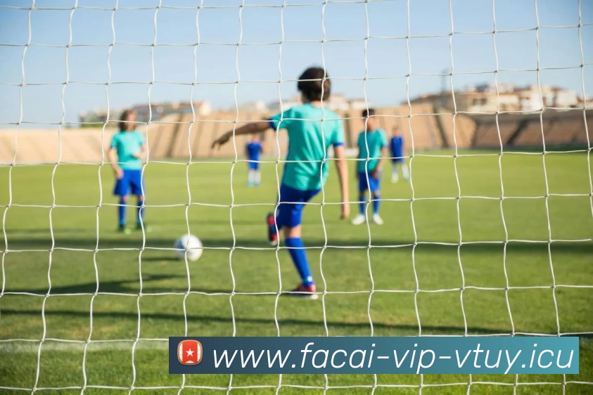 星空体育全站App